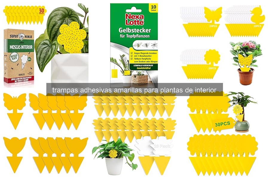 ¿Qué son las trampas adhesivas amarillas para plantas de interior?