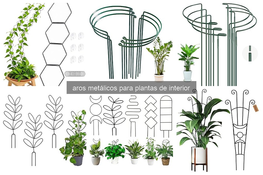 ¿Qué son los aros metálicos para plantas de interior?