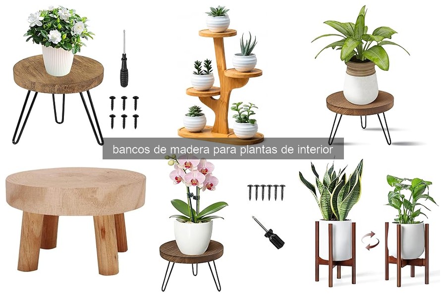 ¿Qué son los bancos de madera para plantas de interior?