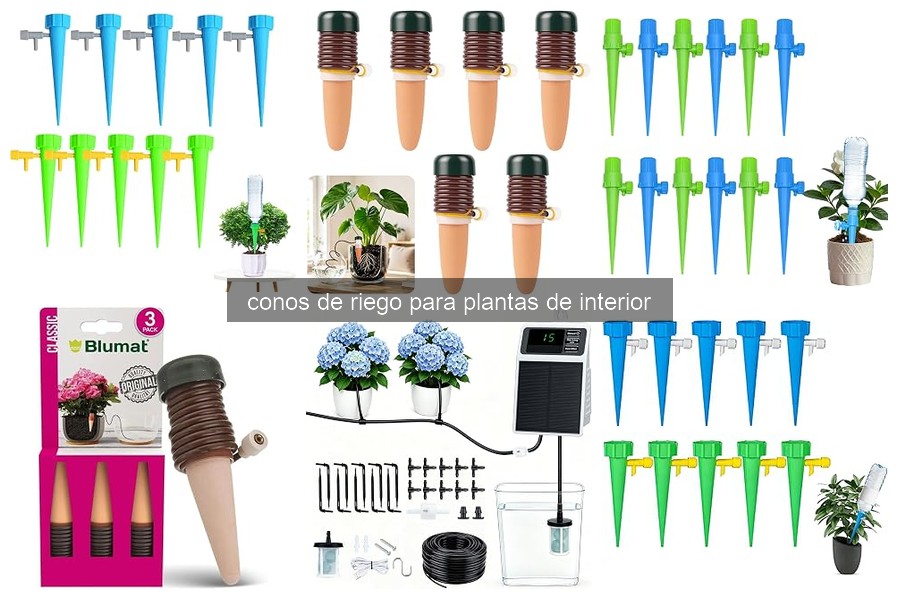 ¿Qué son los conos de riego para plantas de interior?