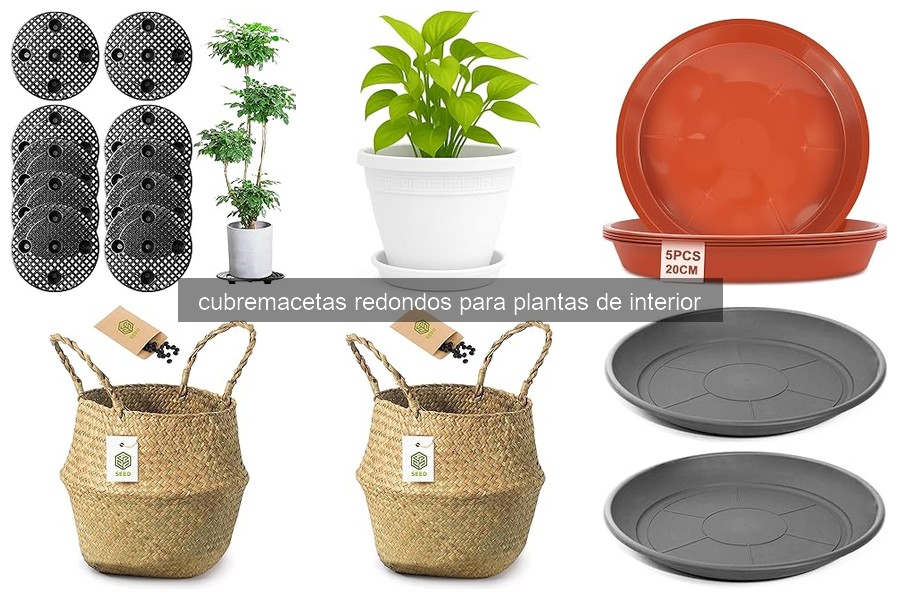 ¿Qué son los cubremacetas redondos para plantas de interior?