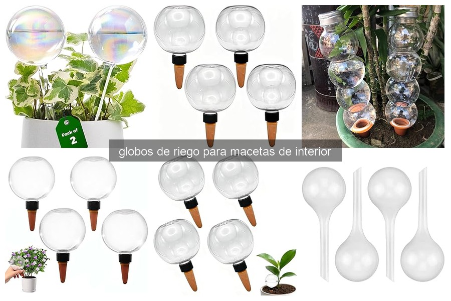 ¿Qué son los globos de riego para macetas de interior?