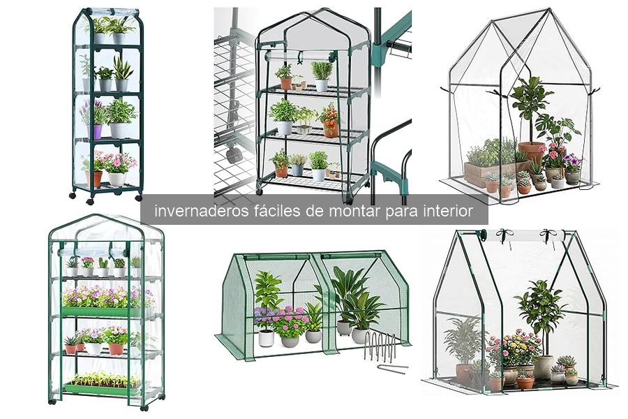 ¿Qué son los invernaderos fáciles de montar para interior?