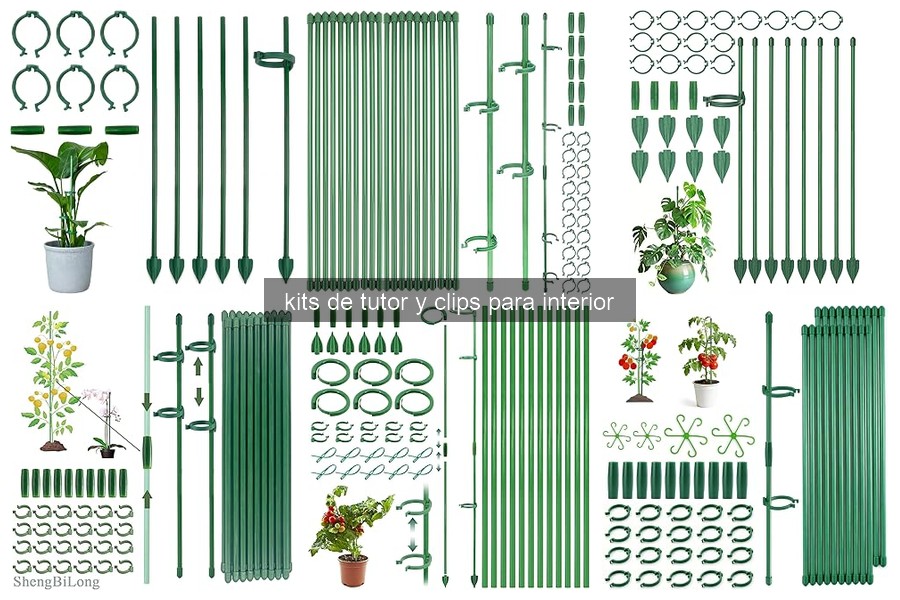 ¿Qué son los kits de tutor y clips para plantas de interior?