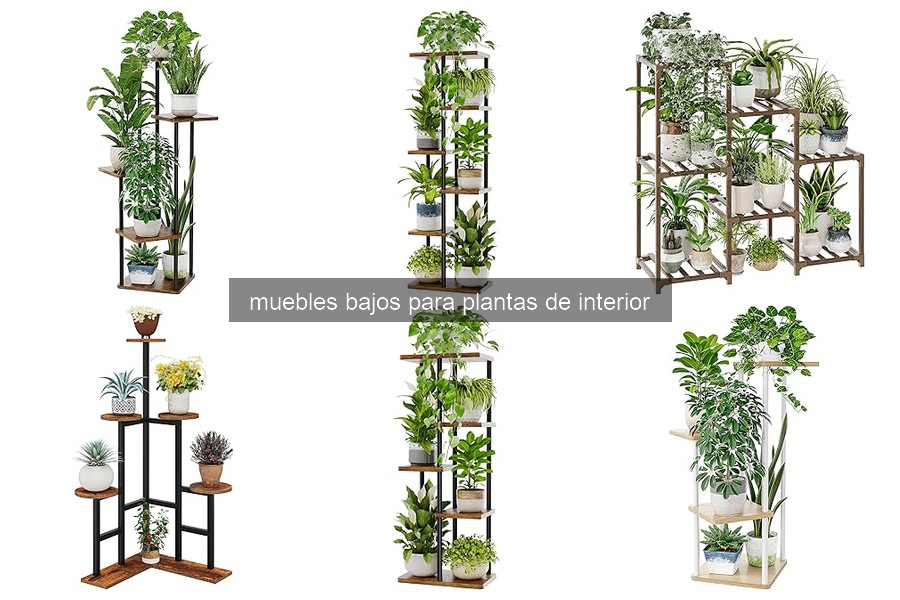 ¿Qué son los muebles bajos para plantas de interior?
