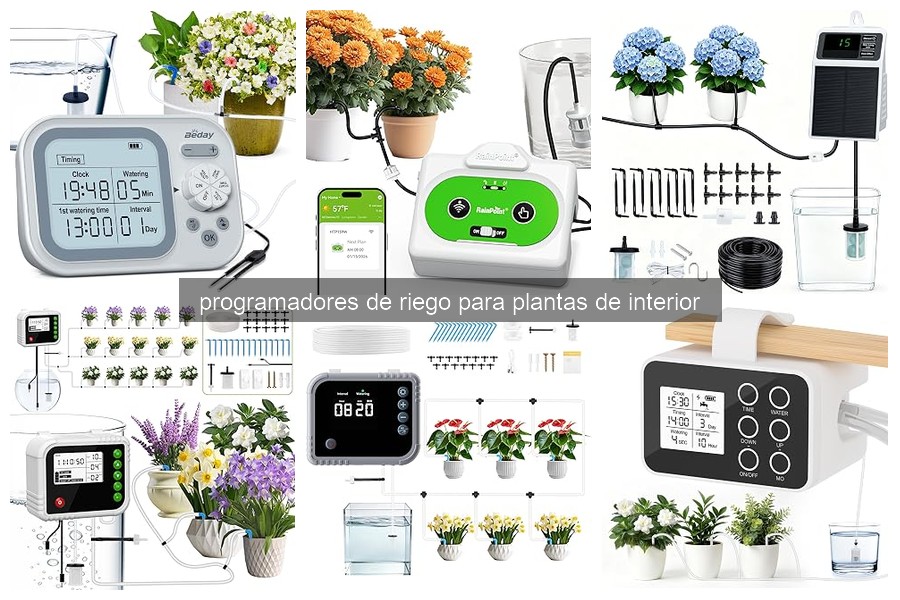 ¿Qué son los programadores de riego para plantas de interior?