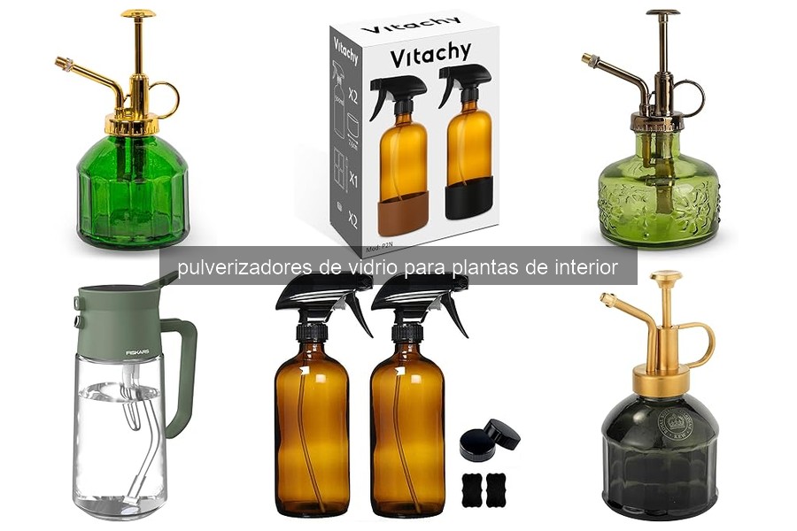 ¿Qué son los pulverizadores de vidrio para plantas de interior?