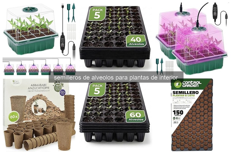 ¿Qué son los semilleros de alveolos y cómo se usan?