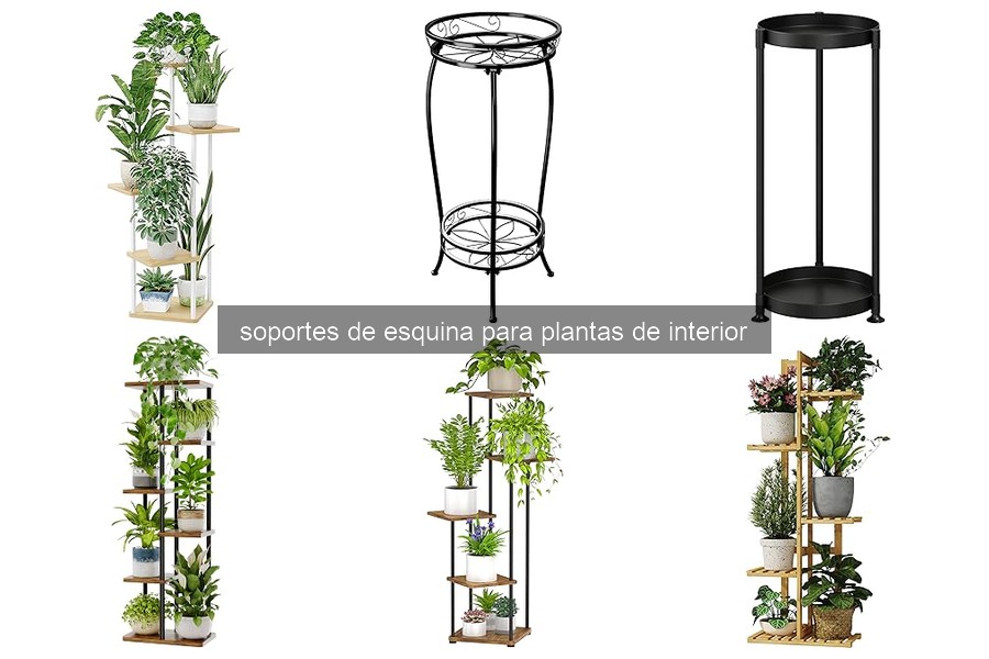 ¿Qué son los soportes de esquina para plantas de interior?
