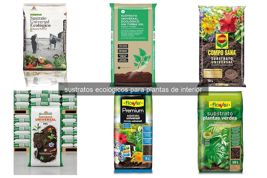 ¿Qué son los sustratos ecológicos para plantas de interior?
