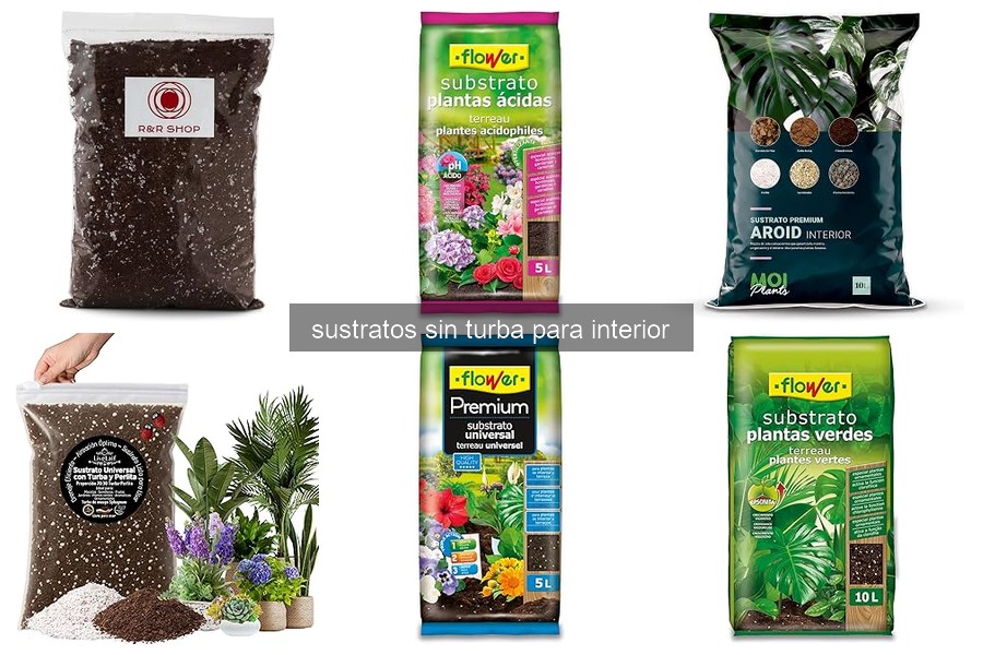 ¿Qué son los sustratos sin turba? Beneficios para tus plantas