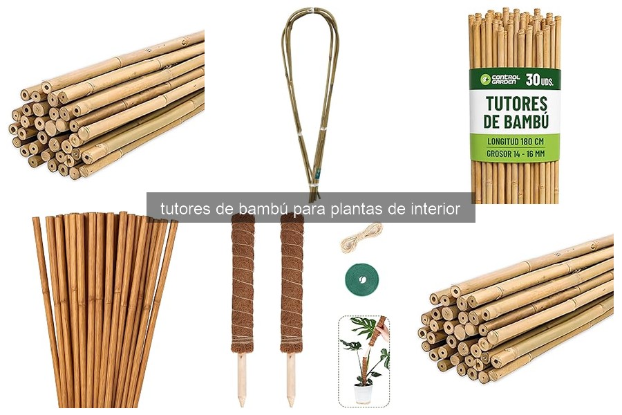 ¿Qué son los tutores de bambú para plantas de interior?