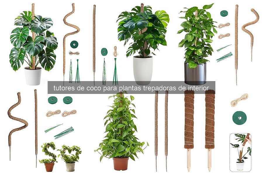 ¿Qué son los tutores de coco para plantas trepadoras?