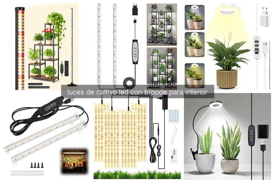 Solución a problemas comunes con luces LED de cultivo con trípode