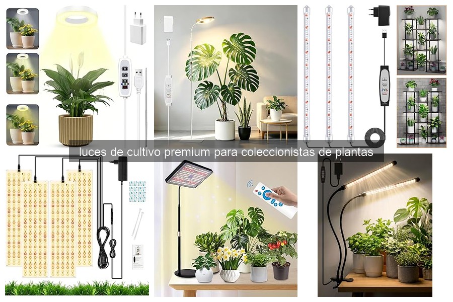 Soluciona Problemas Comunes con Luces de Cultivo Premium