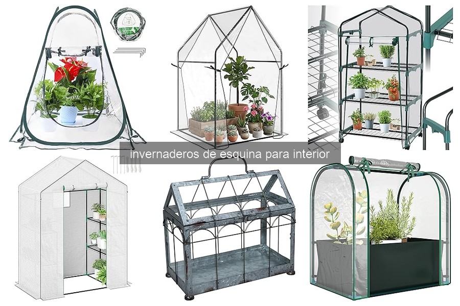 Soluciona problemas comunes de invernaderos de esquina