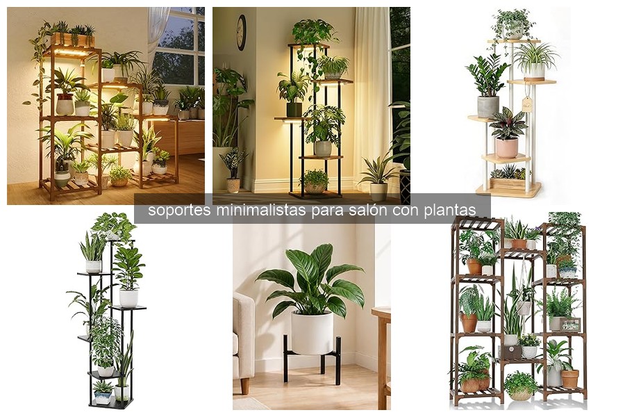 Soluciones a Problemas Comunes de Soportes Minimalistas para Plantas