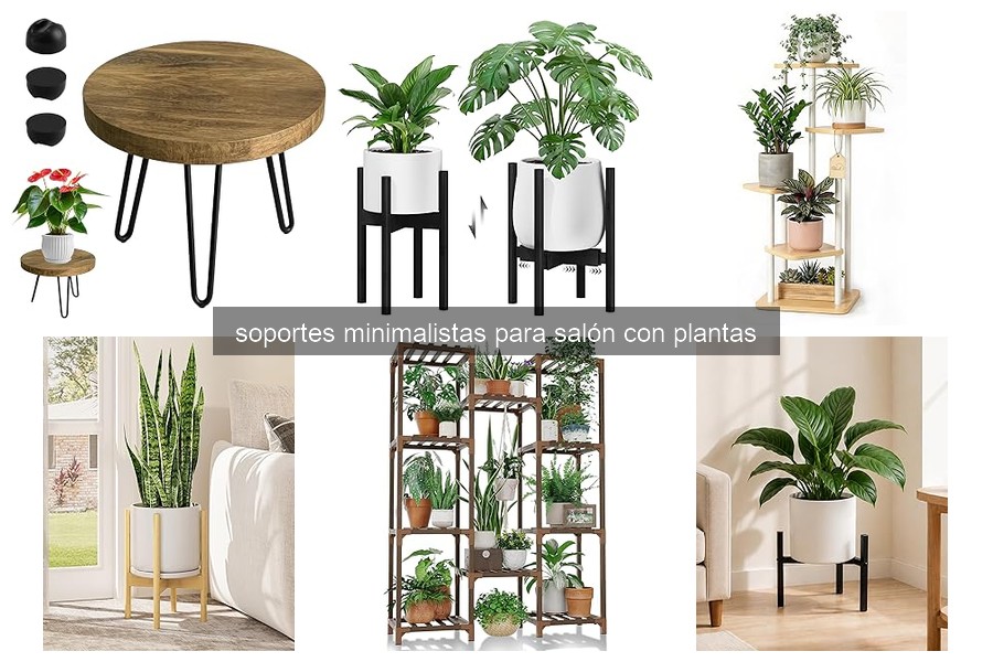 Soportes Minimalistas para Plantas en el Salón: ¿Qué Son?
