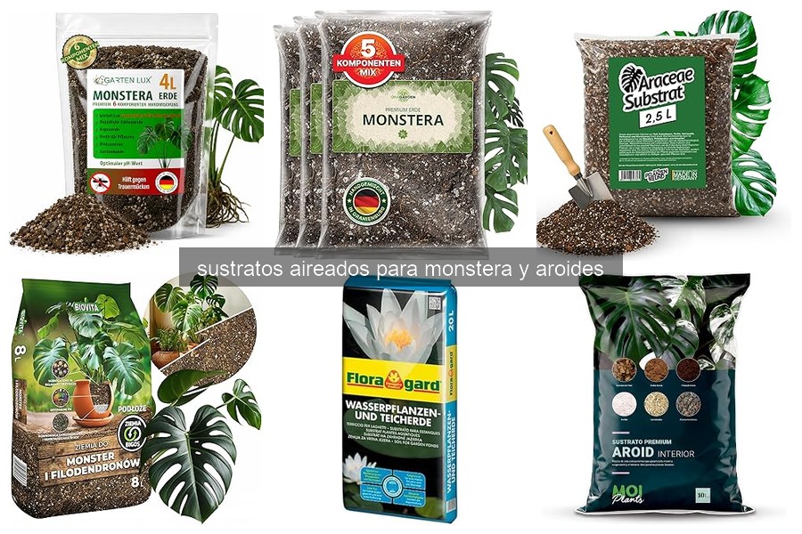 Sustratos aireados para Monstera y aroides: Beneficios y composición