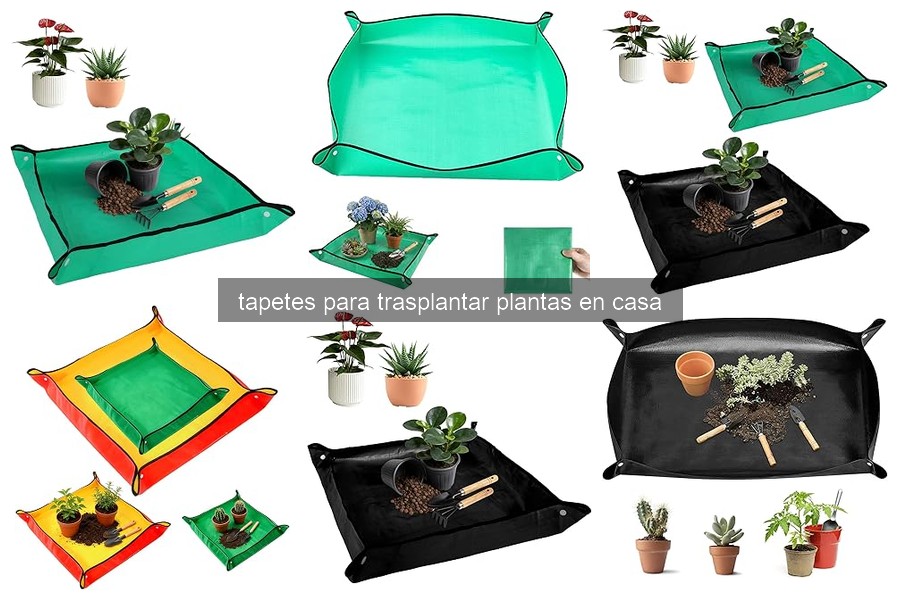 Tapetes para Trasplantar Plantas: ¿Por Qué Son Esenciales?