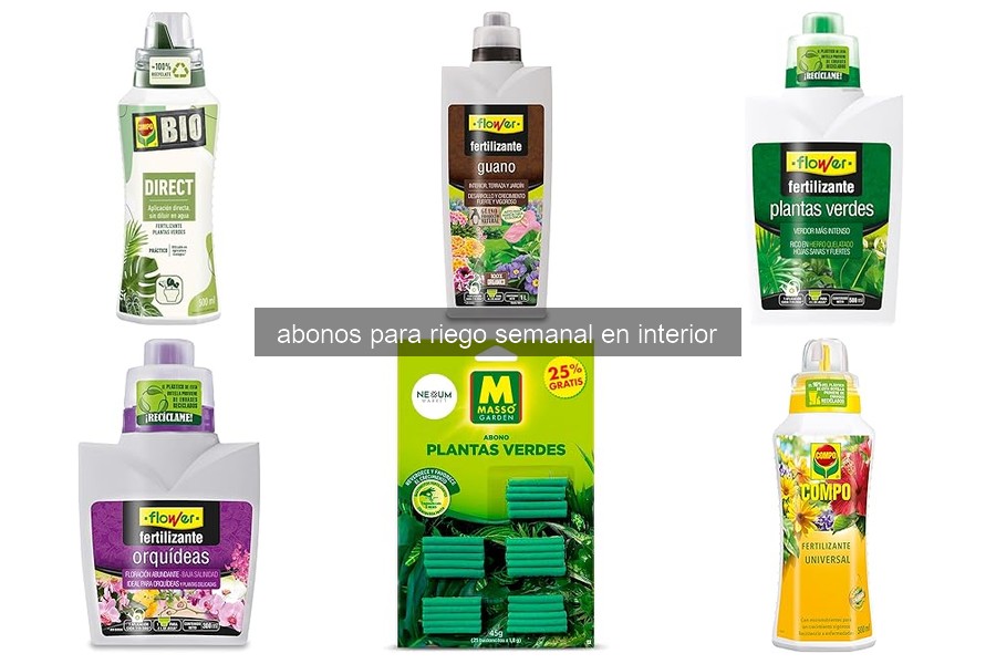 Tipos de abonos para riego semanal en plantas de interior