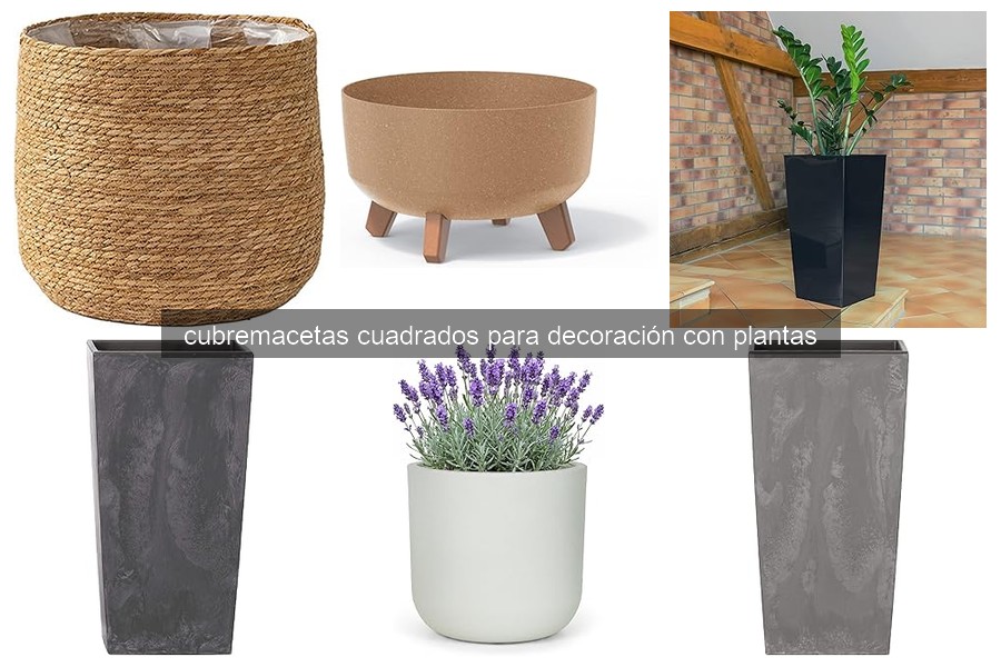 Tipos de cubremacetas cuadrados para decorar tus plantas