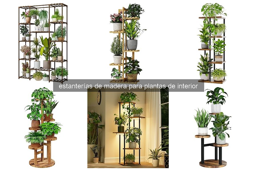 Tipos de estanterías de madera para plantas de interior