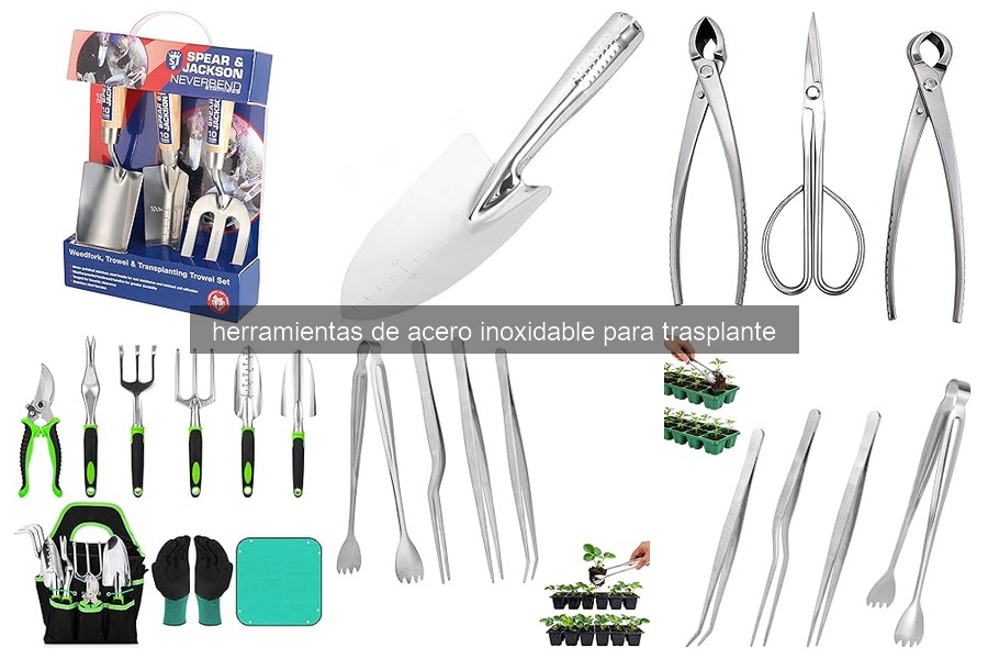 Tipos de herramientas de acero inoxidable para trasplante