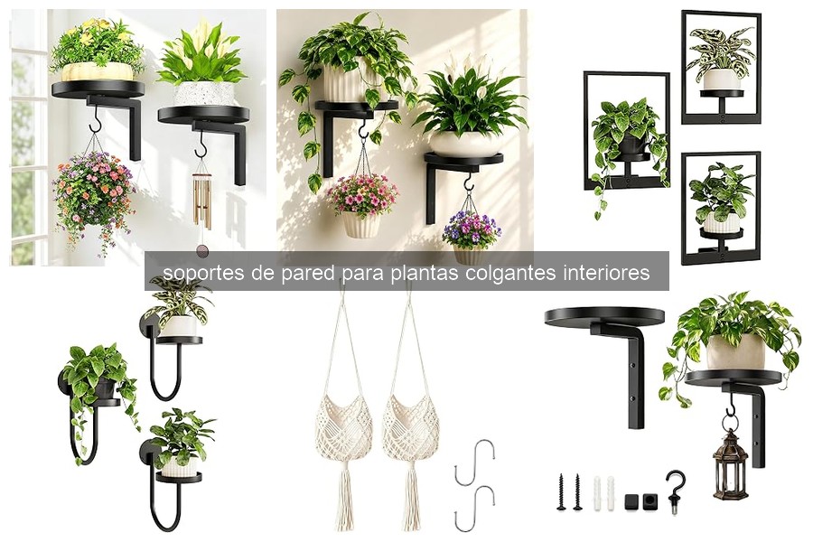 Tipos de Soportes de Pared para Plantas Colgantes