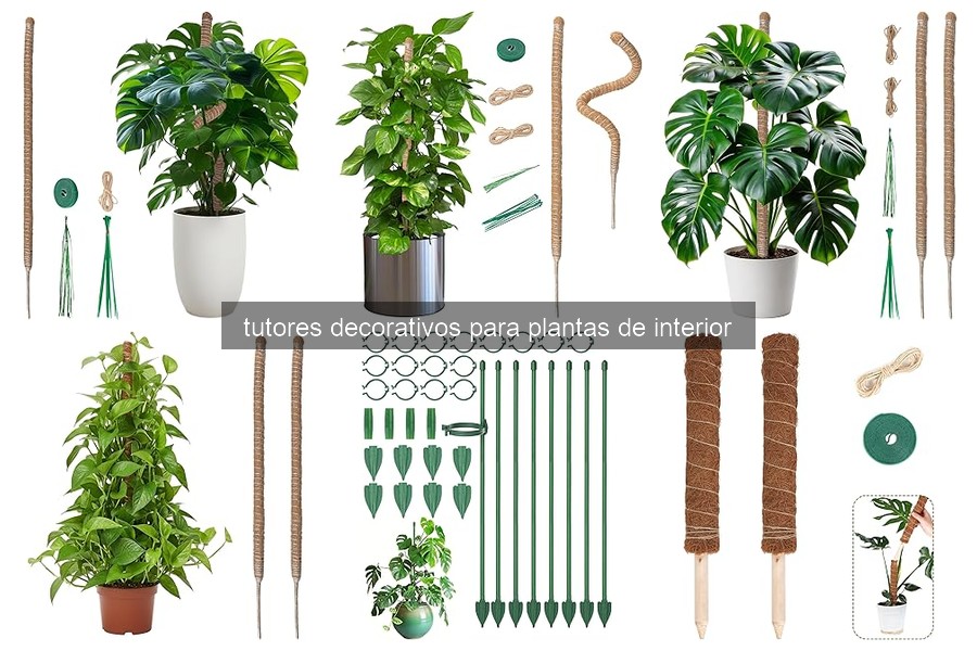 Tipos de tutores decorativos para plantas de interior