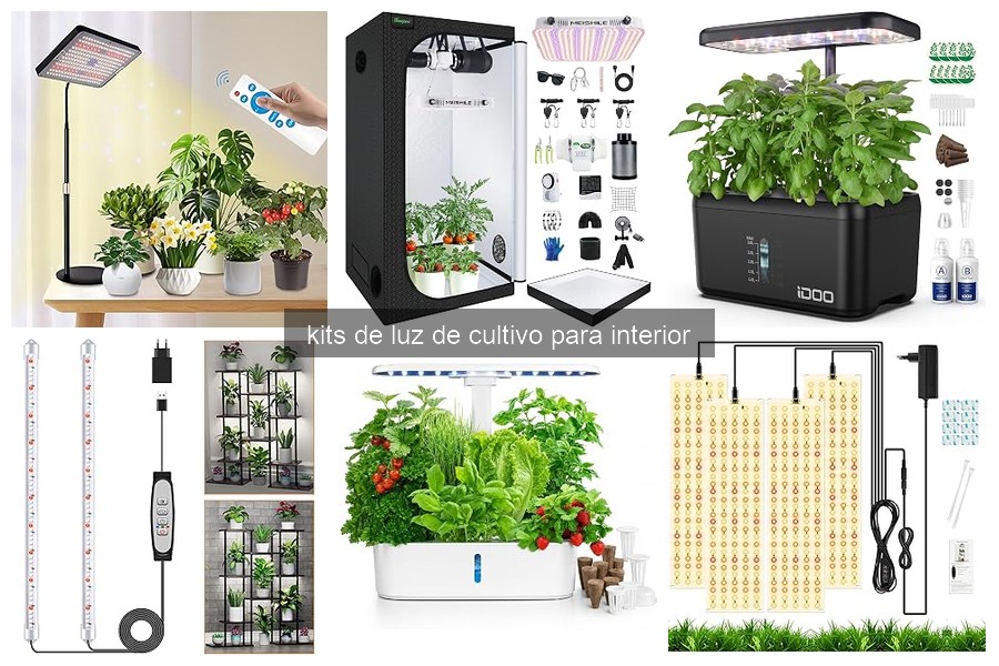 Todo sobre kits de luz de cultivo para interior