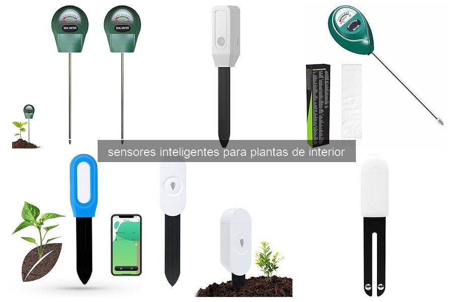 Todo sobre sensores inteligentes para plantas de interior