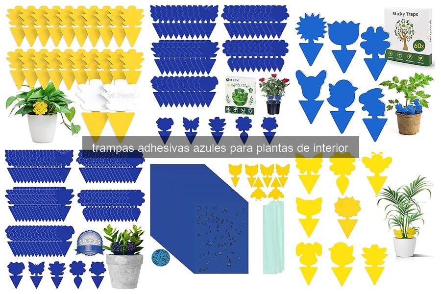 Trampas adhesivas azules para plantas de interior: ¿qué son?
