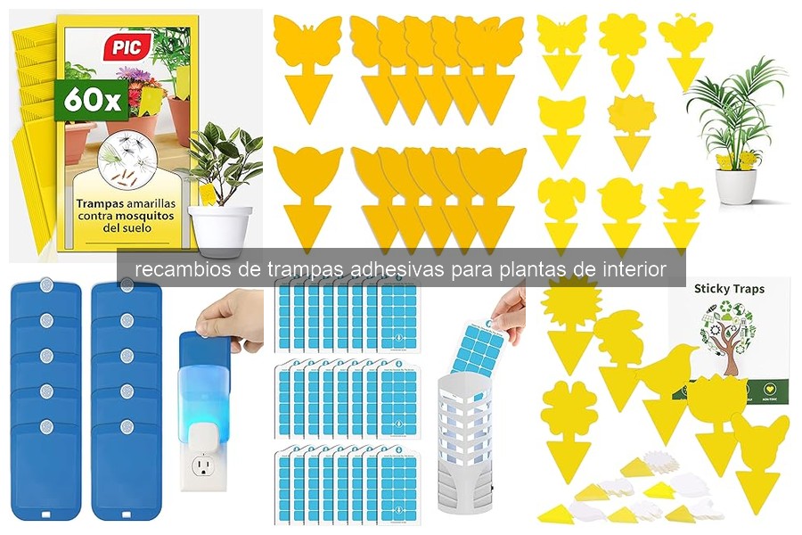Trampas Adhesivas para Plantas de Interior: ¿Qué Son y Cómo Funcionan?