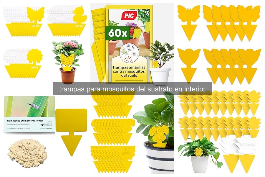 Trampas para Mosquitos en el Sustrato: ¿Qué Son y Cómo Funcionan?