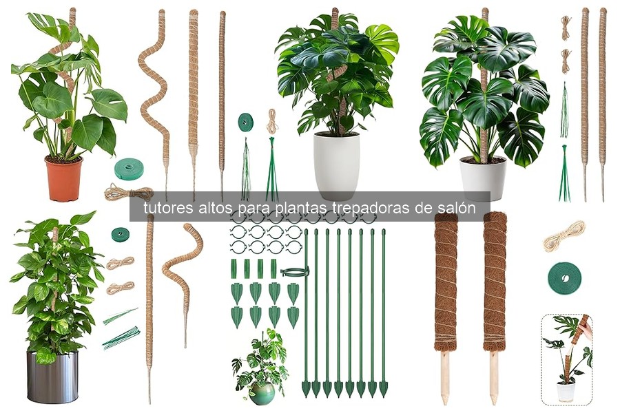 Ventajas de los tutores altos para plantas trepadoras de salón