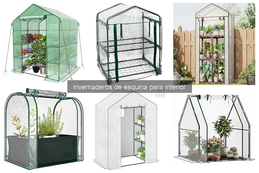 Ventajas de un Invernadero de Esquina para Interior