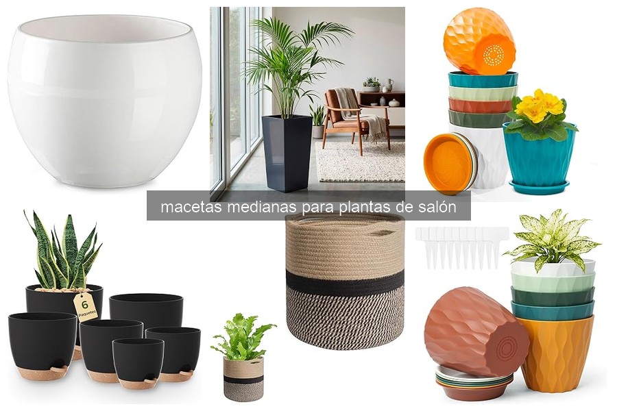 Ventajas de usar macetas medianas para plantas de interior