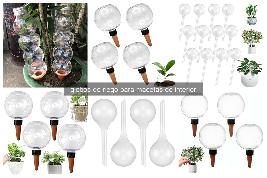 Ventajas y desventajas de los globos de riego para macetas