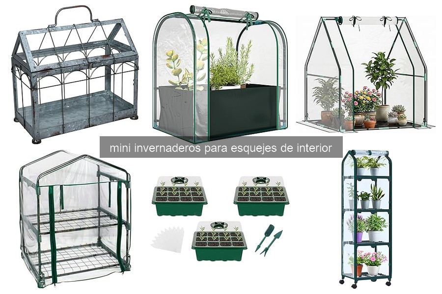 Ventajas y desventajas de mini invernaderos para esquejes